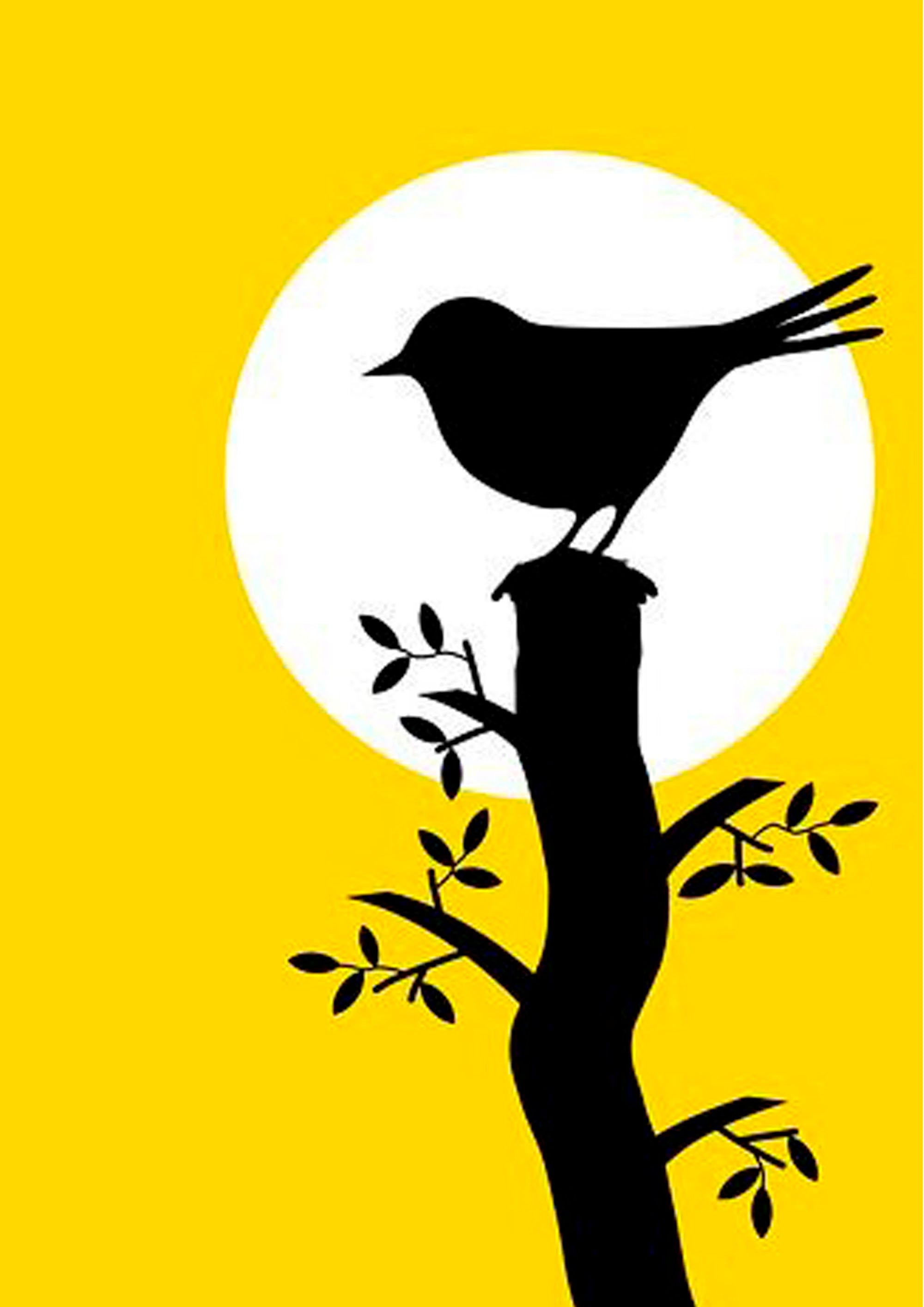 Canvas de animal artístico 032 - Canvaradas