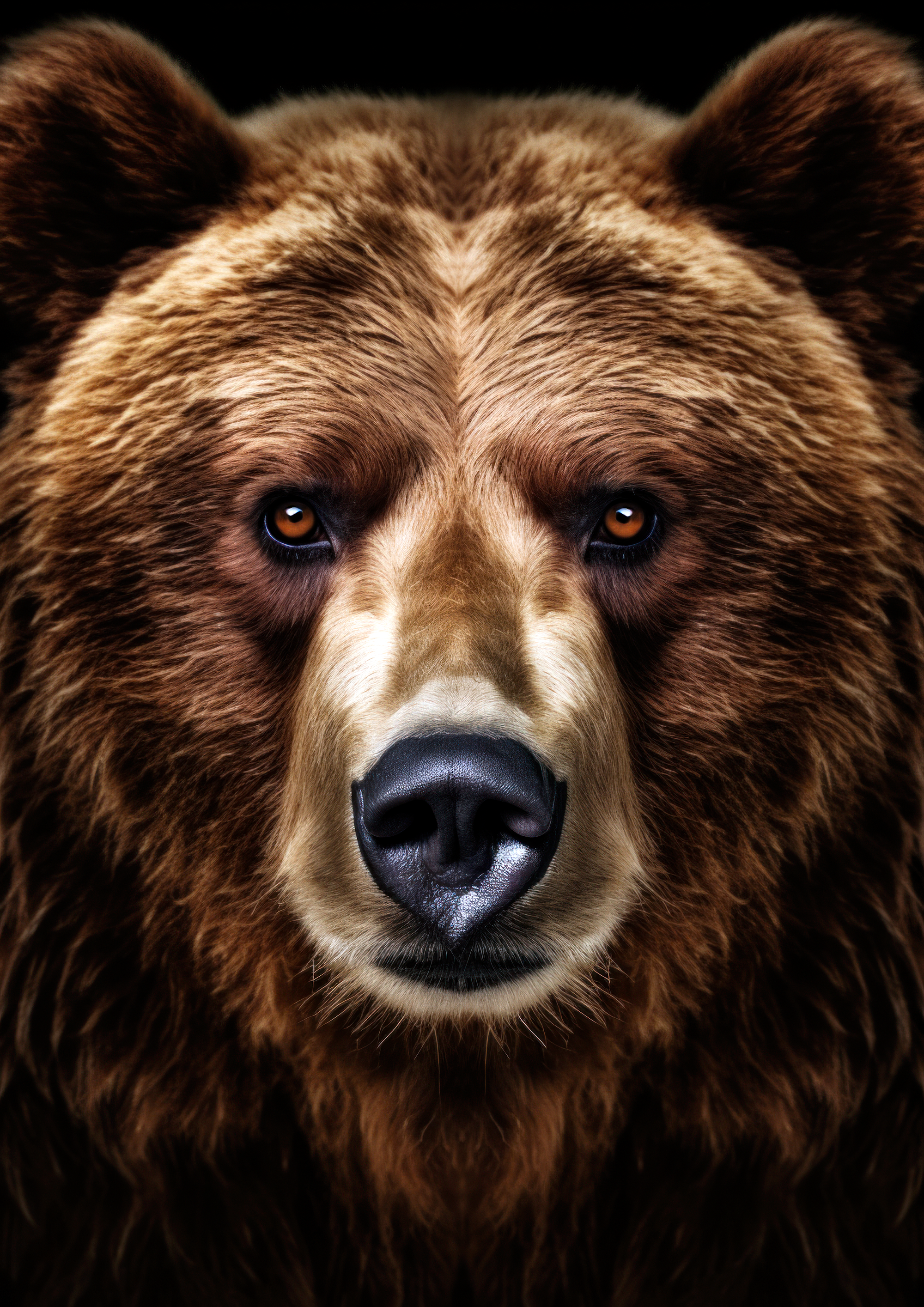 Canvas de oso 027 - Canvaradas