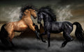 Canvas de animal artístico 015 - Canvaradas