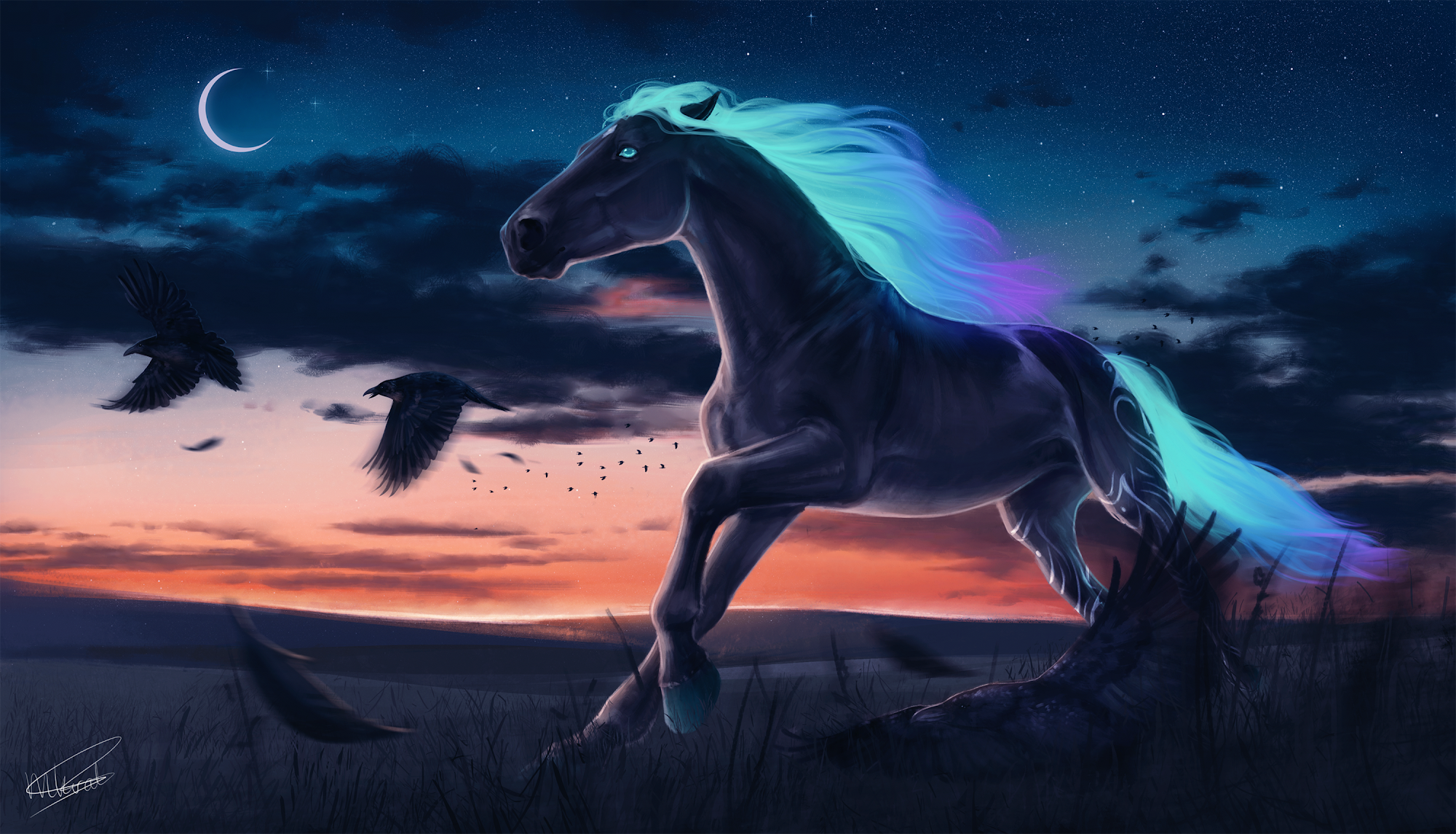 Canvas de animal artístico 048 - Canvaradas