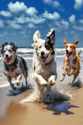 Canvas de perro 117 - Canvaradas
