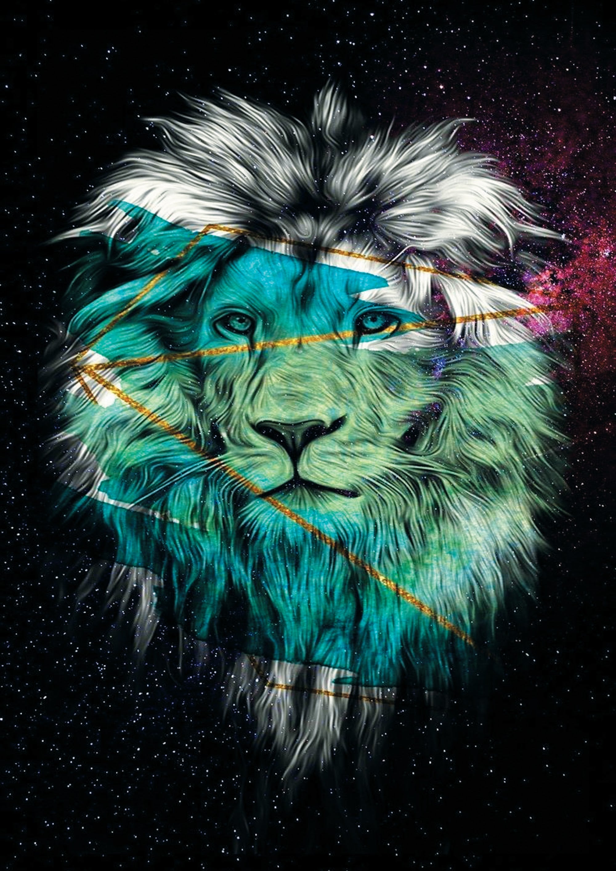Canvas de animal artístico 062 - Canvaradas