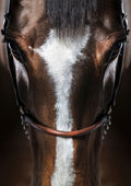 Canvas de caballo 036 - Canvaradas