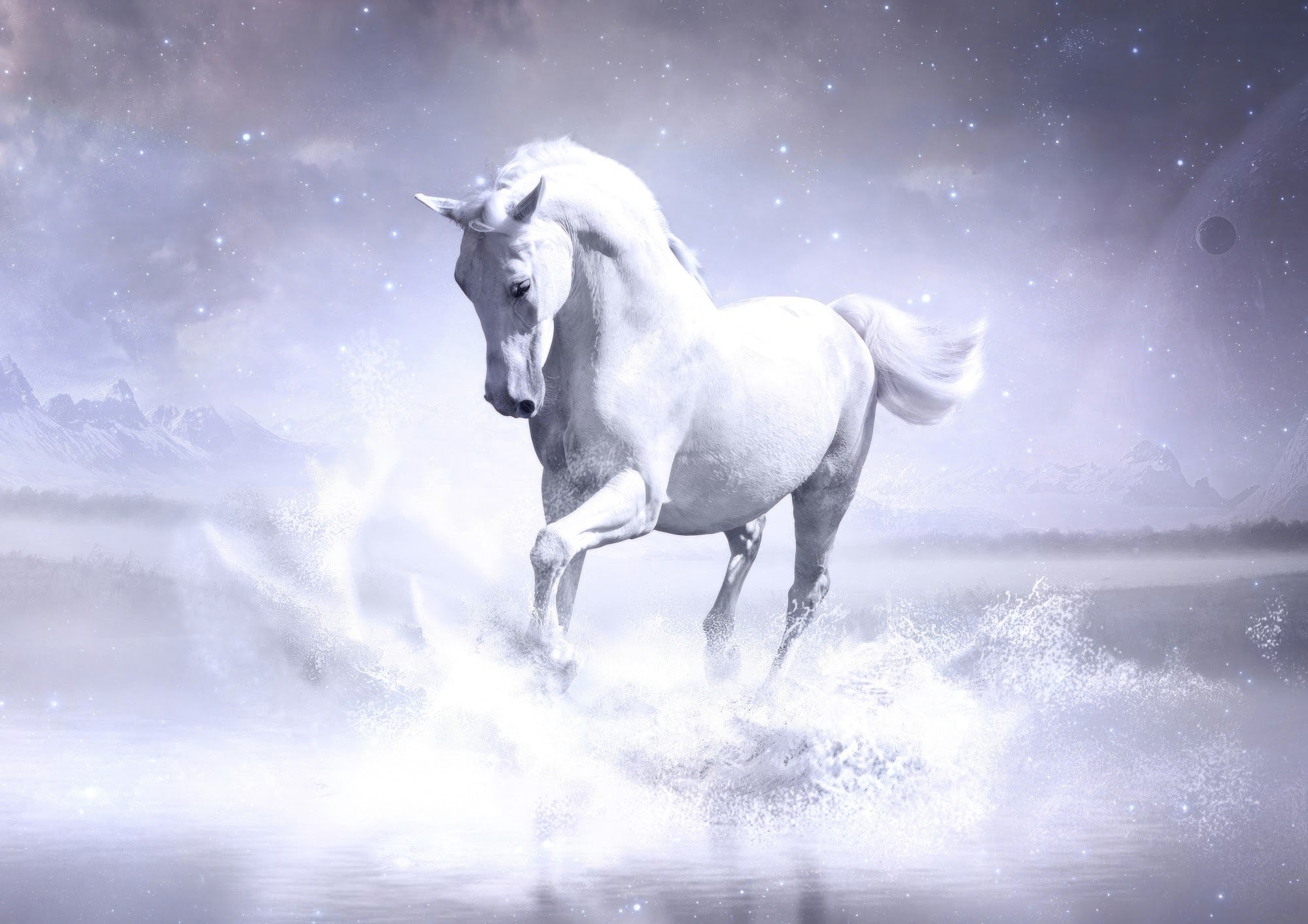 Canvas de caballo 050 - Canvaradas