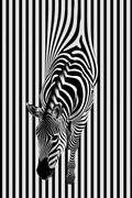 Canvas de animal artístico 092 - Canvaradas