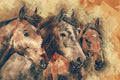 Canvas de animal artístico 046 - Canvaradas