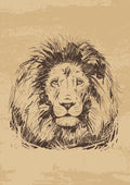Canvas de animal artístico 057 - Canvaradas