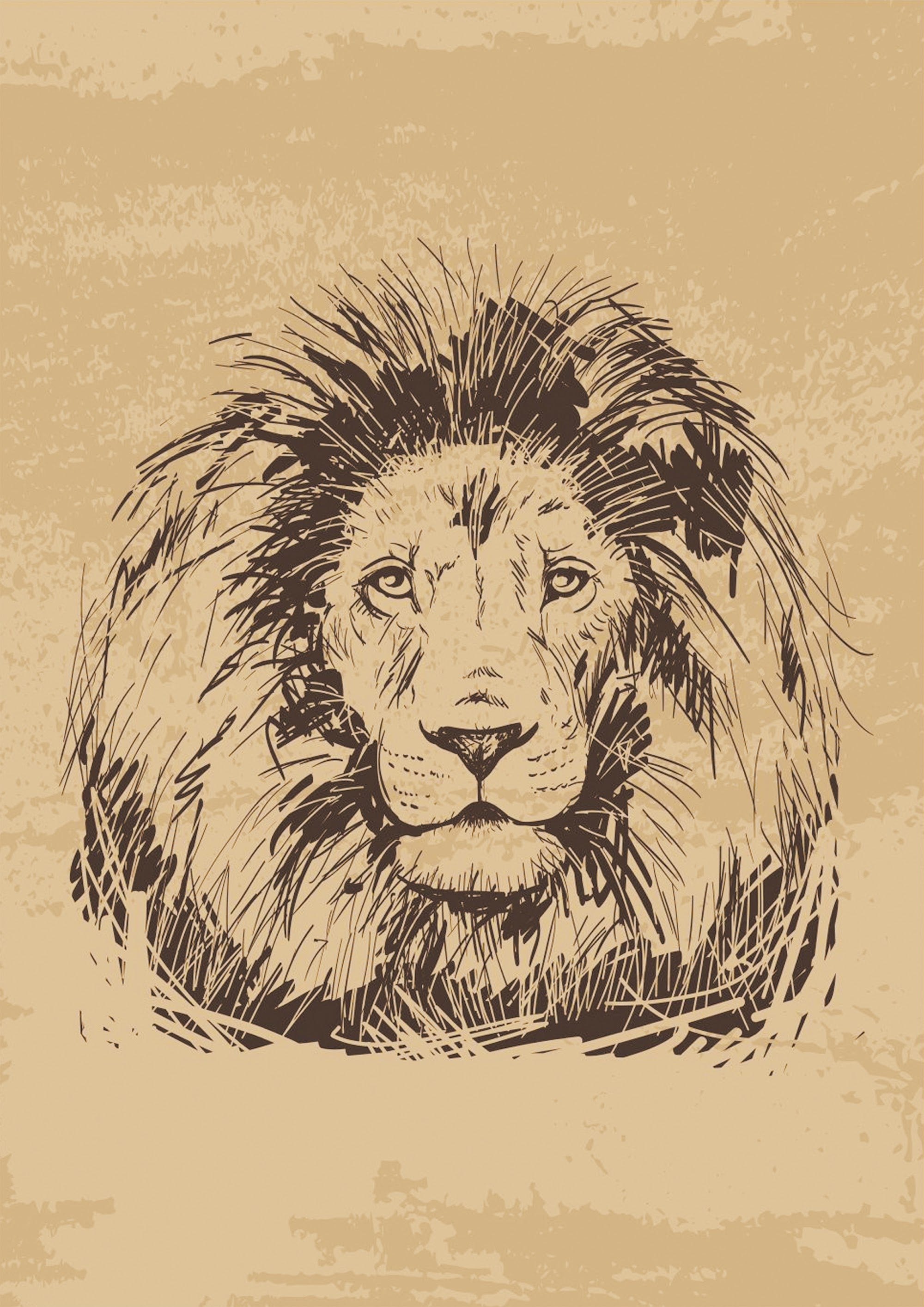 Canvas de animal artístico 057 - Canvaradas