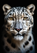 Canvas de felino 044 - Canvaradas