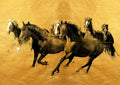 Canvas de caballo 051 - Canvaradas