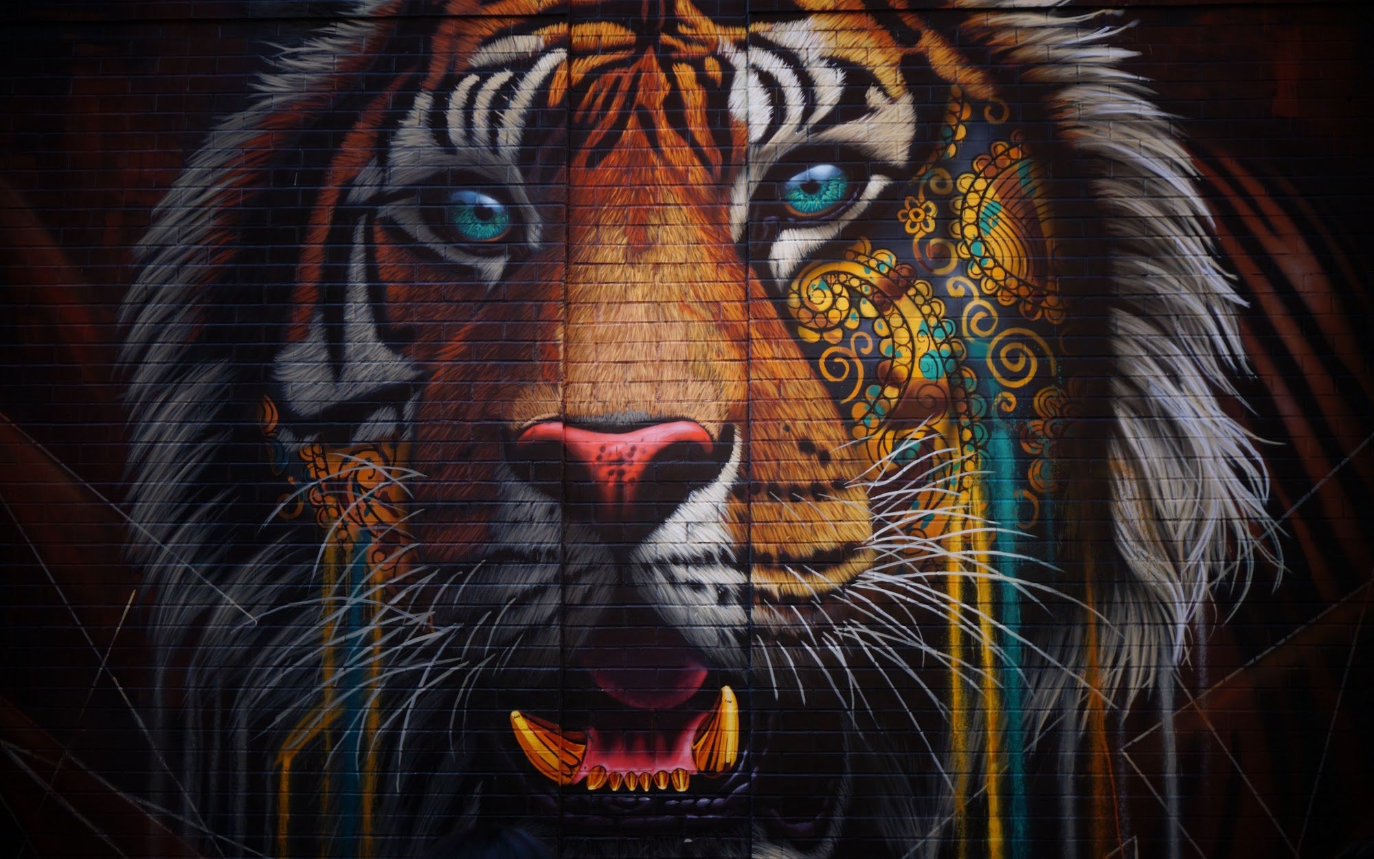 Canvas de animal artístico 044 - Canvaradas