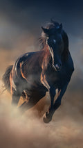 Canvas de caballo 005 - Canvaradas
