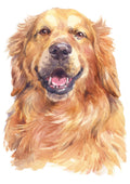 Canvas de animal artístico 004 - Canvaradas