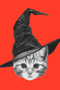 Canvas de animal artístico 061 - Canvaradas