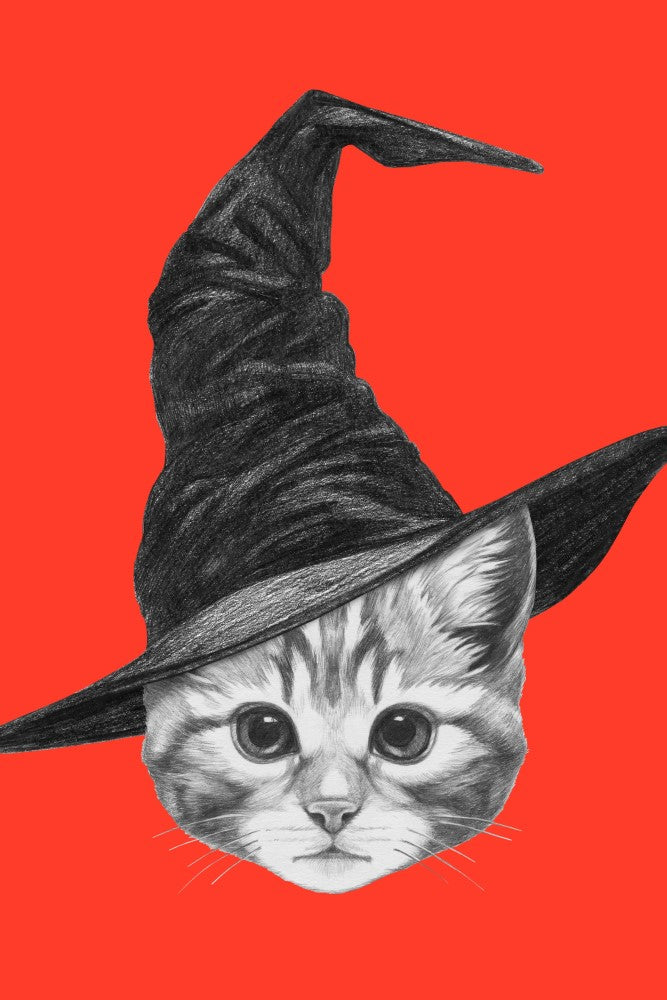 Canvas de animal artístico 061 - Canvaradas
