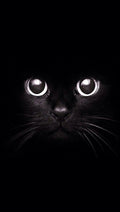 Canvas de animal artístico 045 - Canvaradas