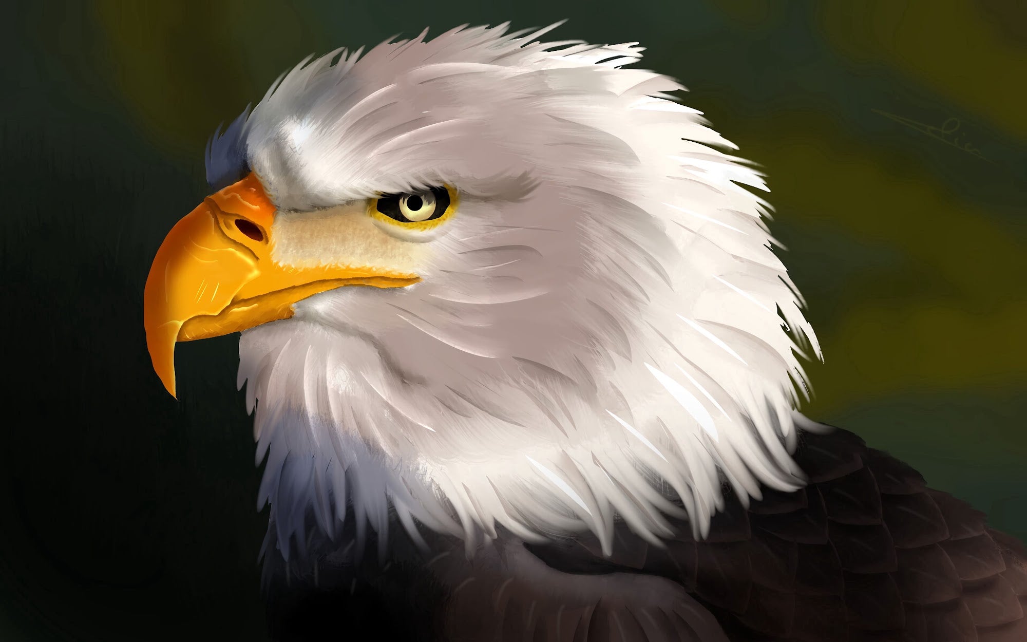 Canvas de animal artístico 035 - Canvaradas