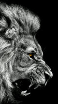 Canvas de león 005 - Canvaradas