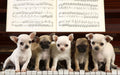 Canvas de perro 037 - Canvaradas