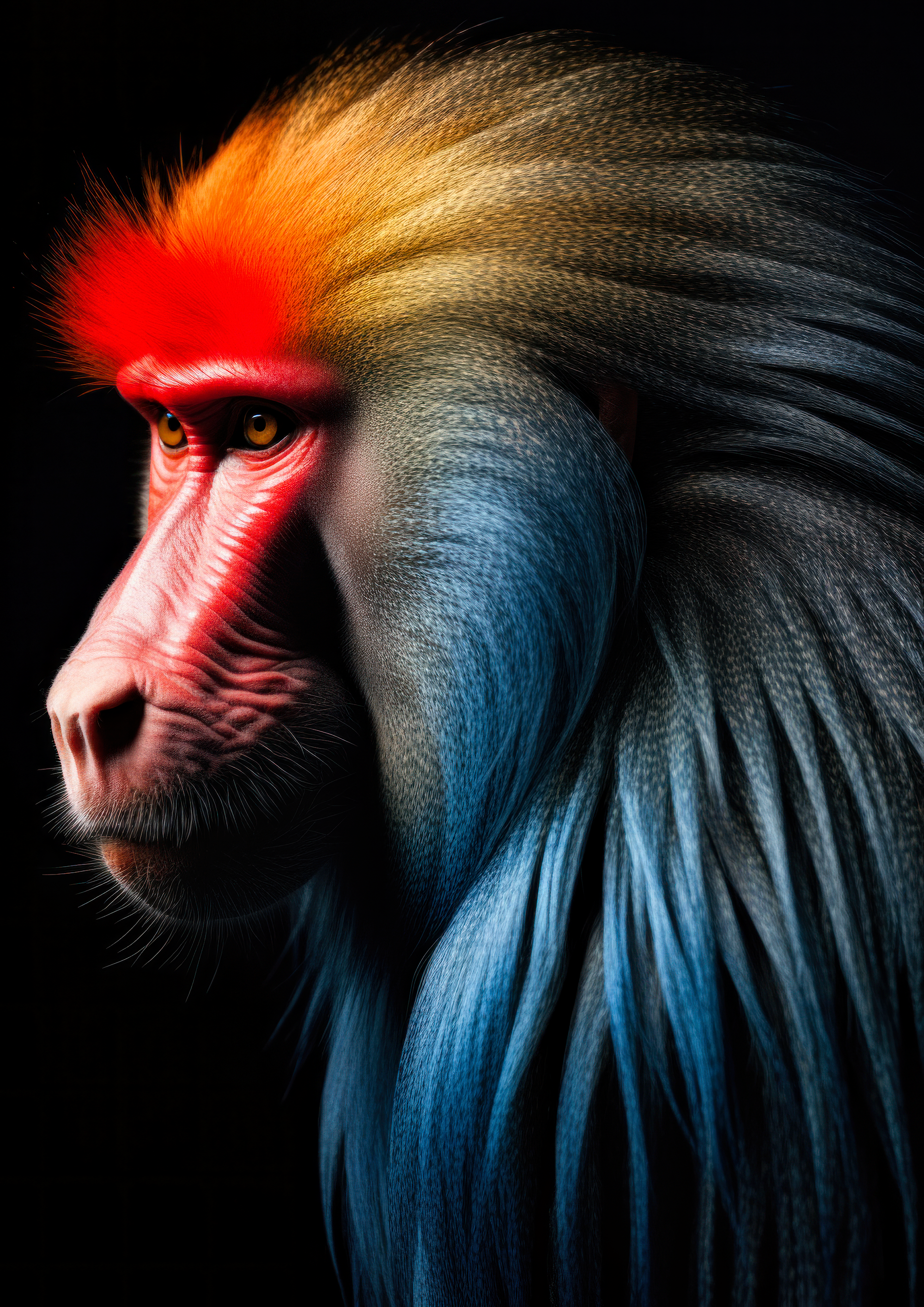 Canvas de primate 019 - Canvaradas