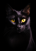 Canvas de gato 012 - Canvaradas