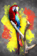 Canvas de animal artístico 060 - Canvaradas