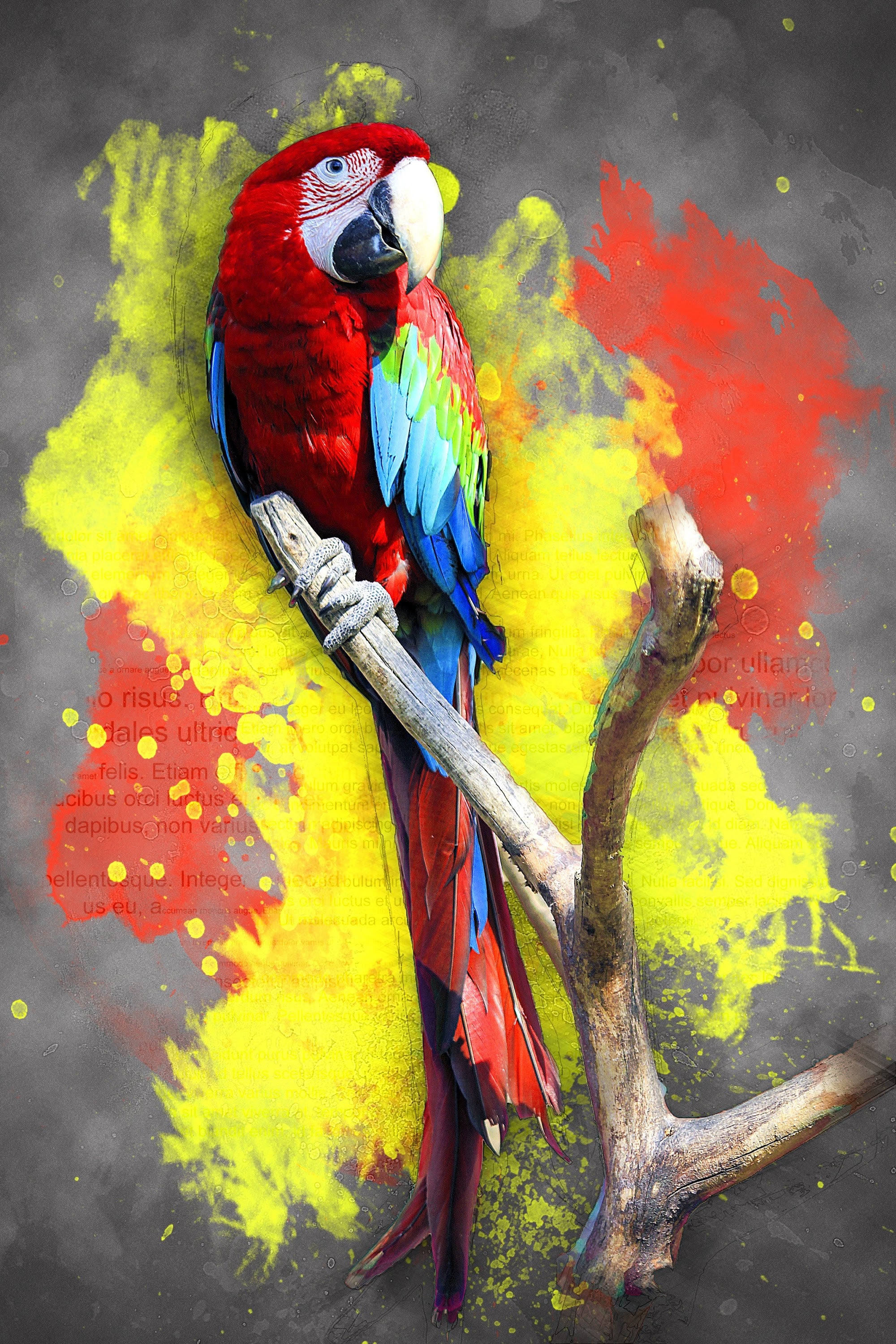 Canvas de animal artístico 060 - Canvaradas