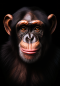 Canvas de primate 005 - Canvaradas