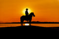 Canvas de caballo 012 - Canvaradas