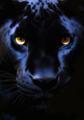Canvas de felino 039 - Canvaradas