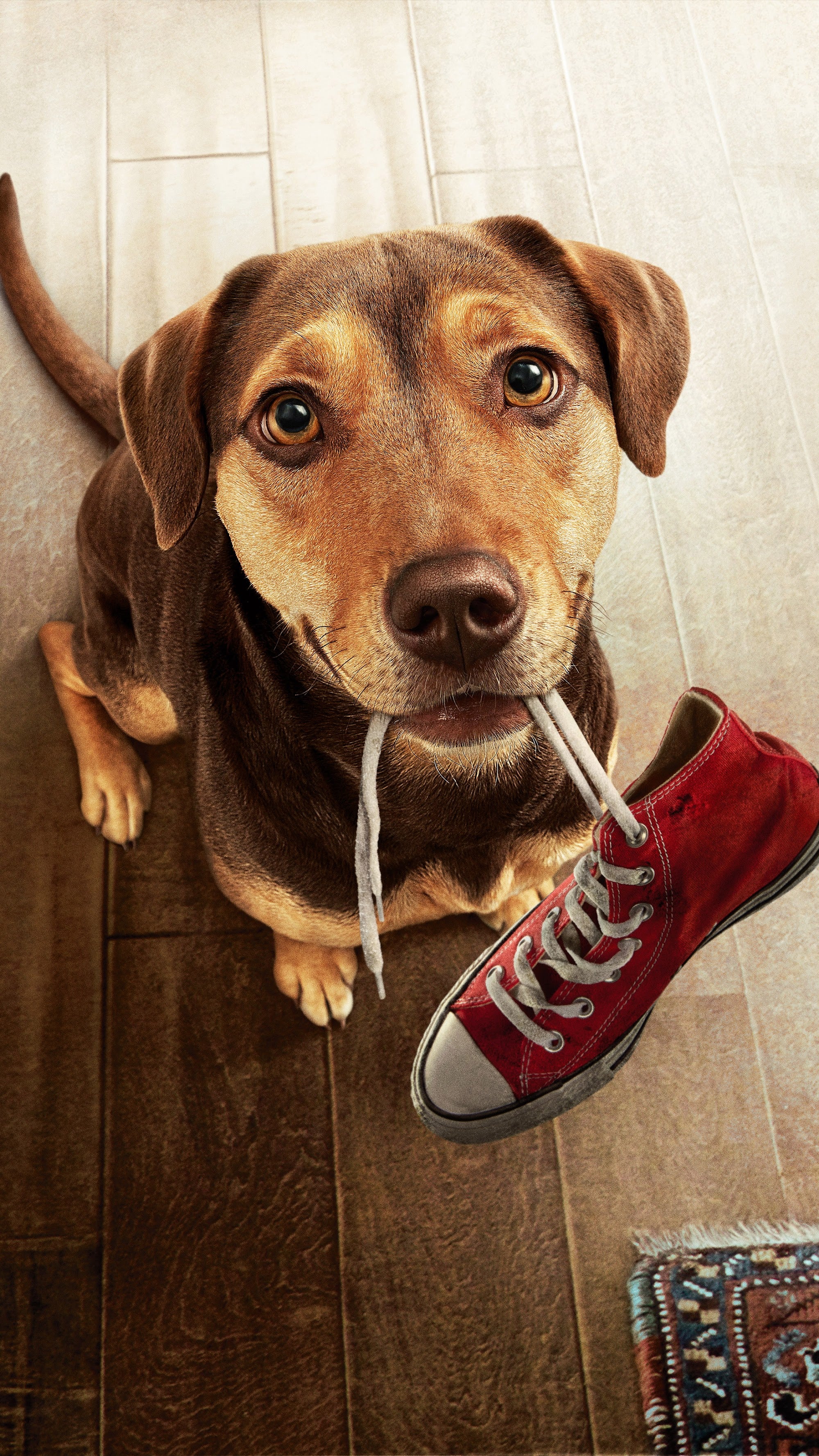 Canvas de perro 022 - Canvaradas