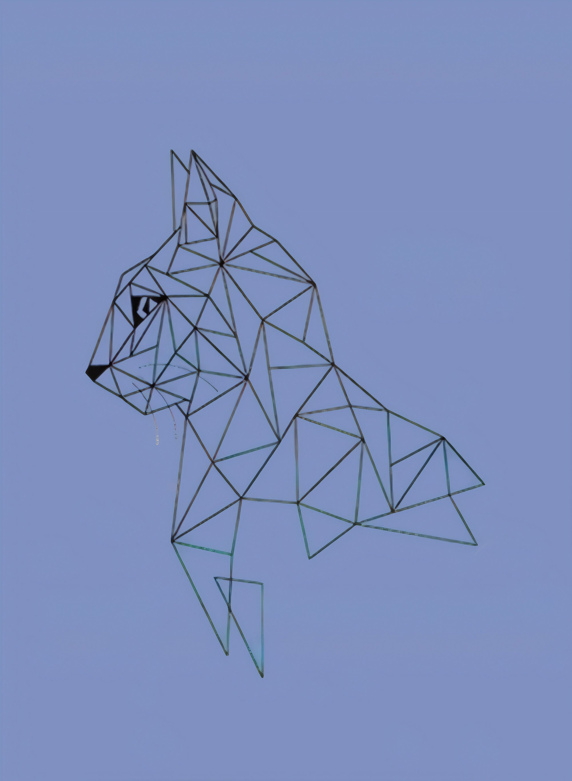 Canvas de animal artístico 012 - Canvaradas