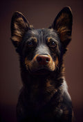 Canvas de perro 114 - Canvaradas
