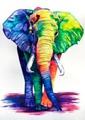 Canvas de animal artístico 031 - Canvaradas