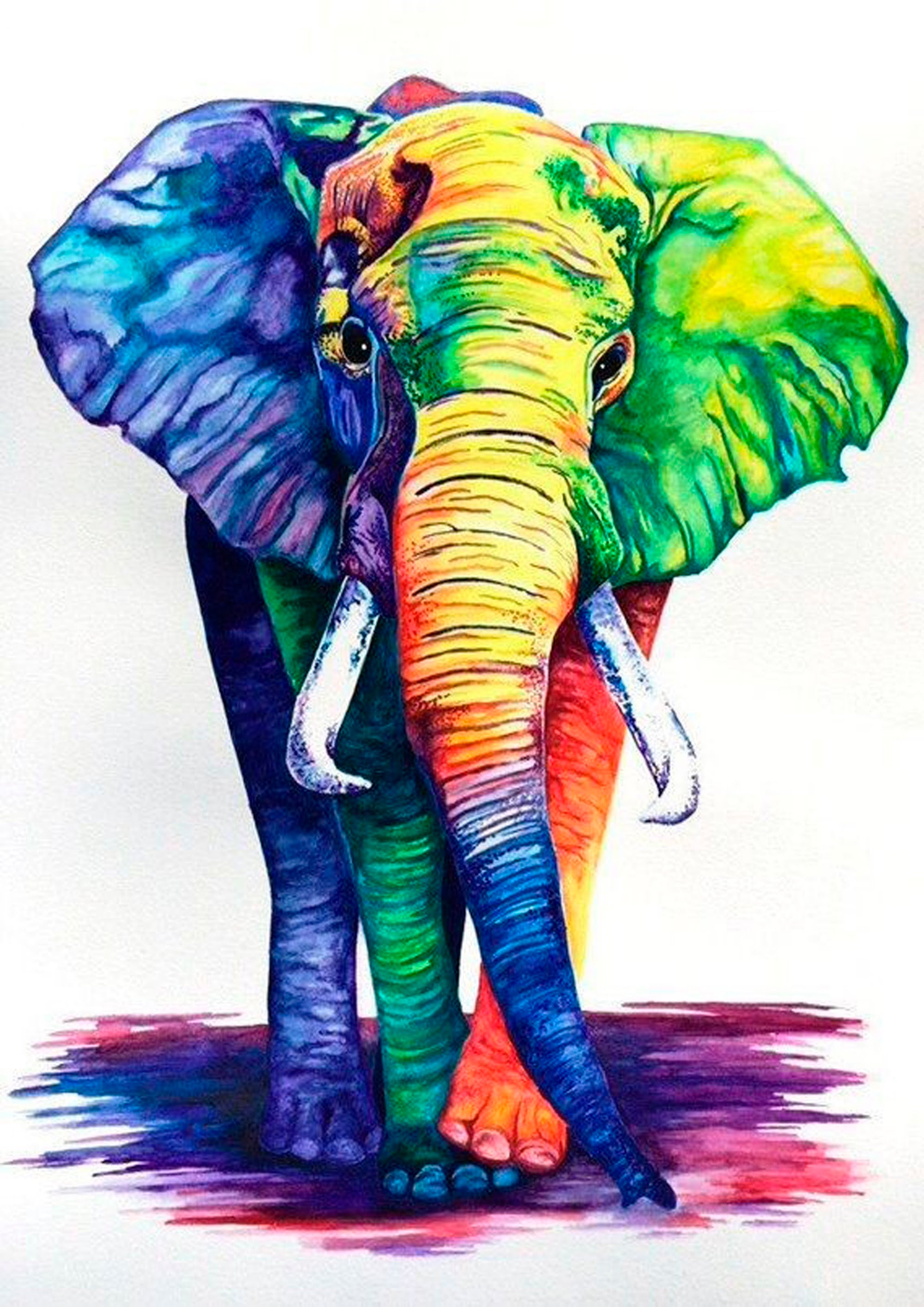 Canvas de animal artístico 031 - Canvaradas