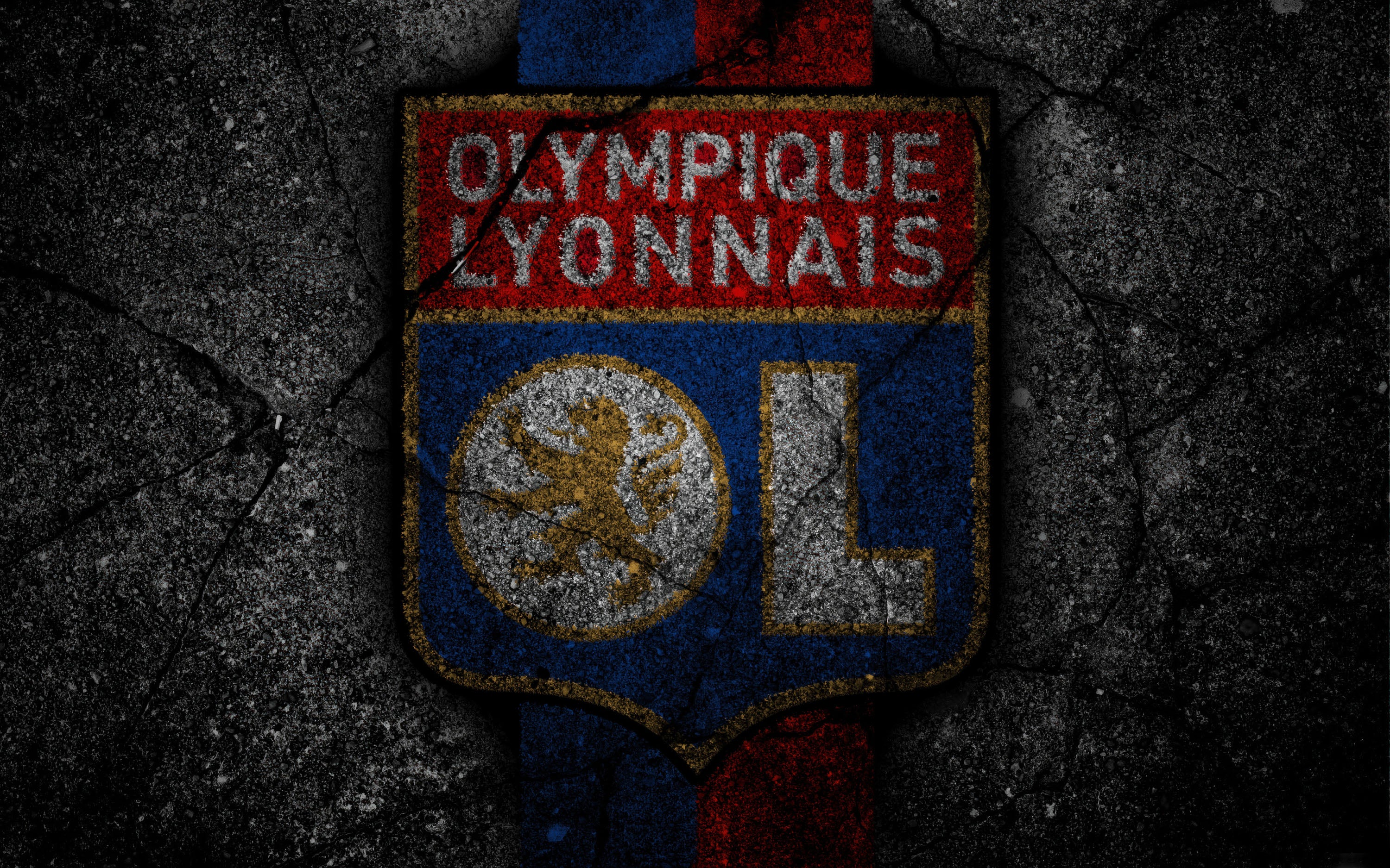 Olympique Lyonnais 012 - cuadro decorativo en canvas