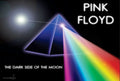 Pink Floyd 011 - cuadro decorativo en canvas