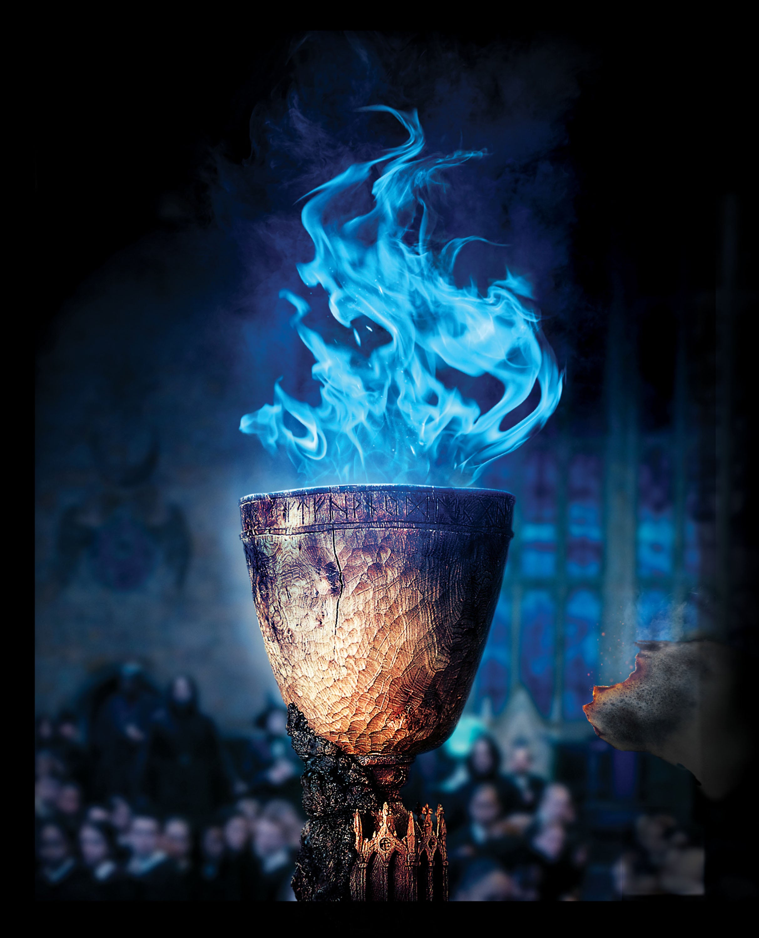 Harry Potter 050 - cuadro decorativo en canvas