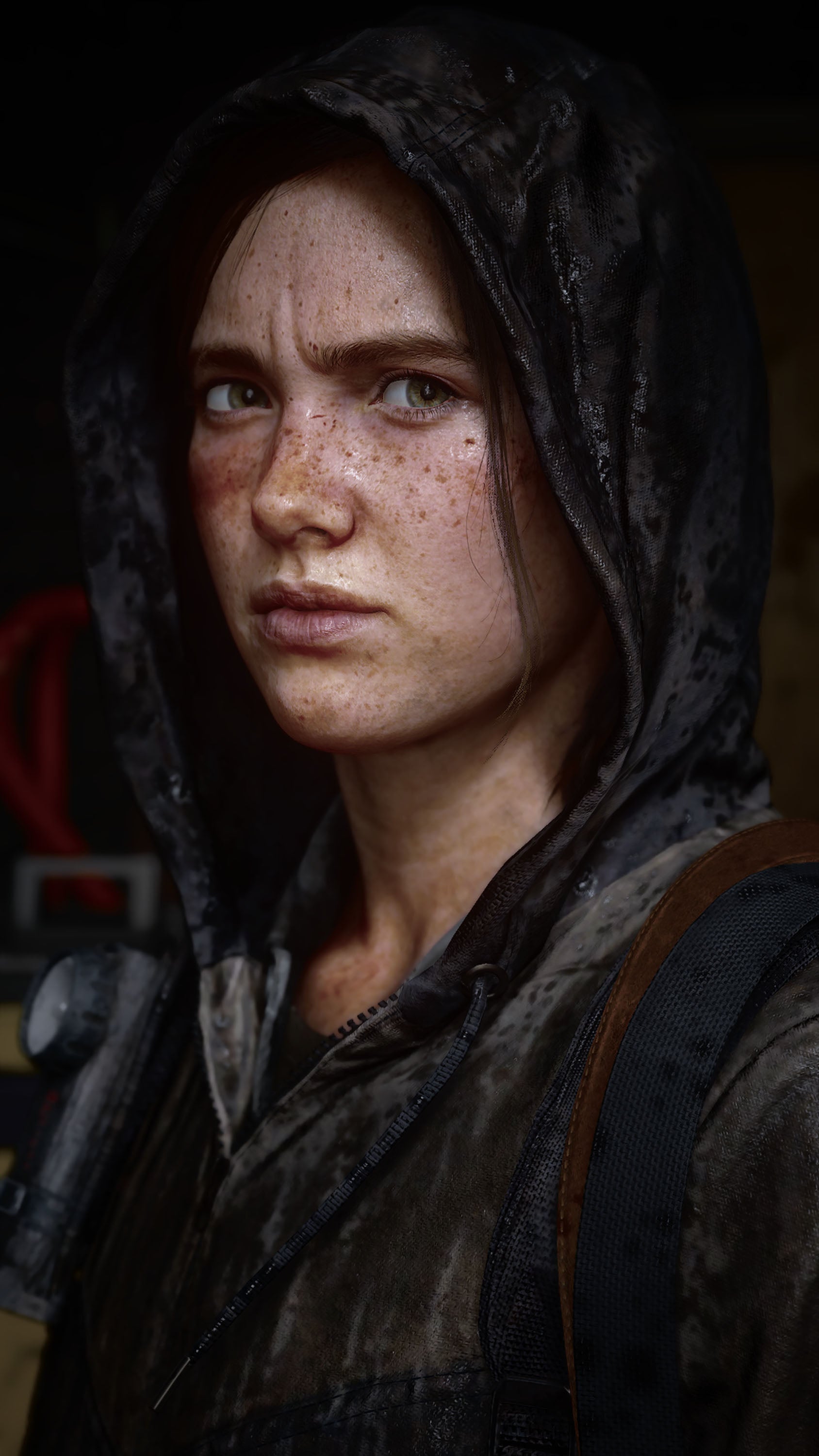 The Last Of Us 028 - cuadro gamer decorativo en canvas