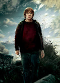 Harry Potter 037 - cuadro decorativo en canvas