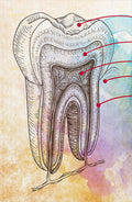 Odontología 016 - Cuadro canvas Canvaradas