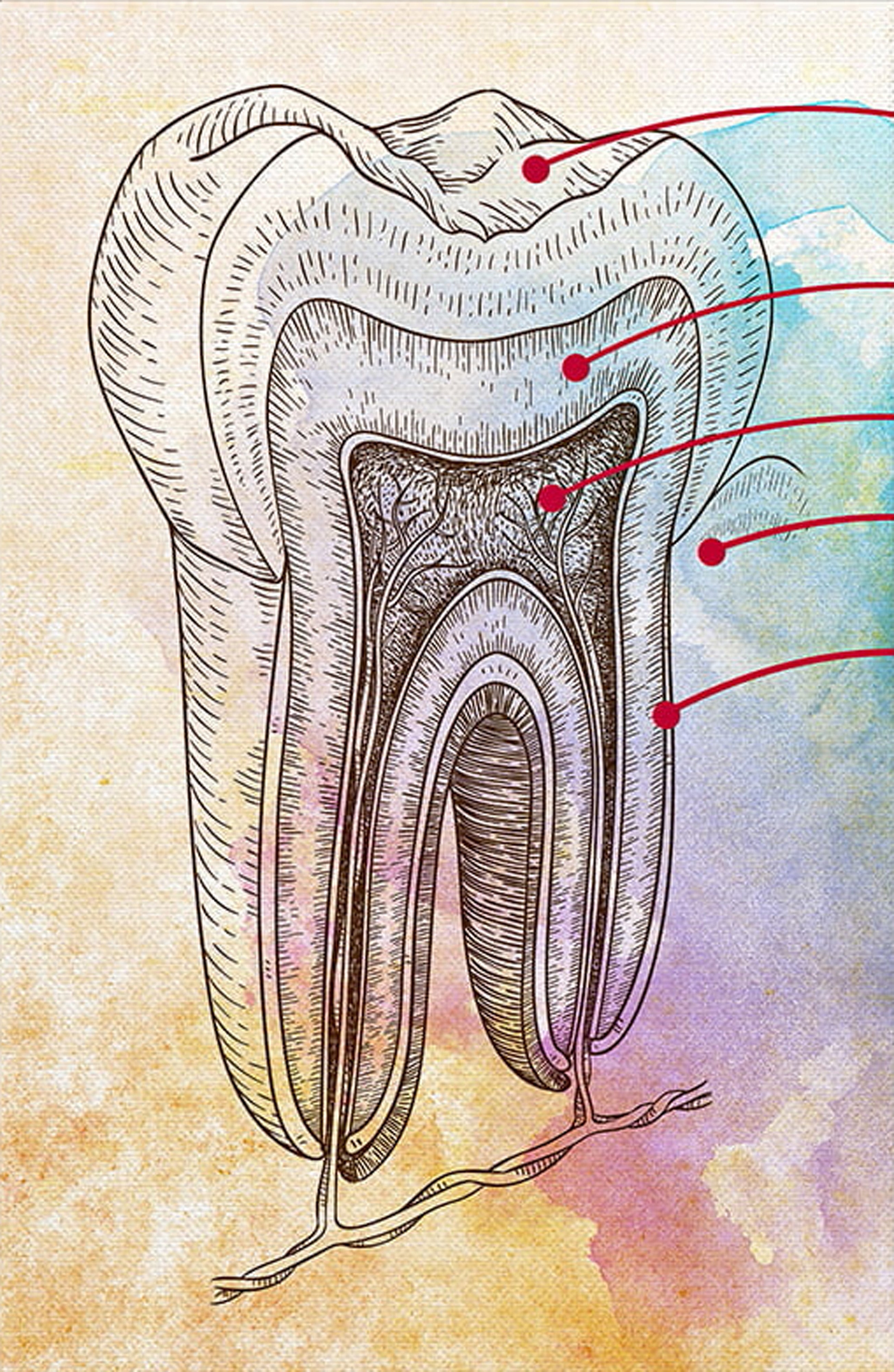 Odontología 016 - Cuadro canvas Canvaradas