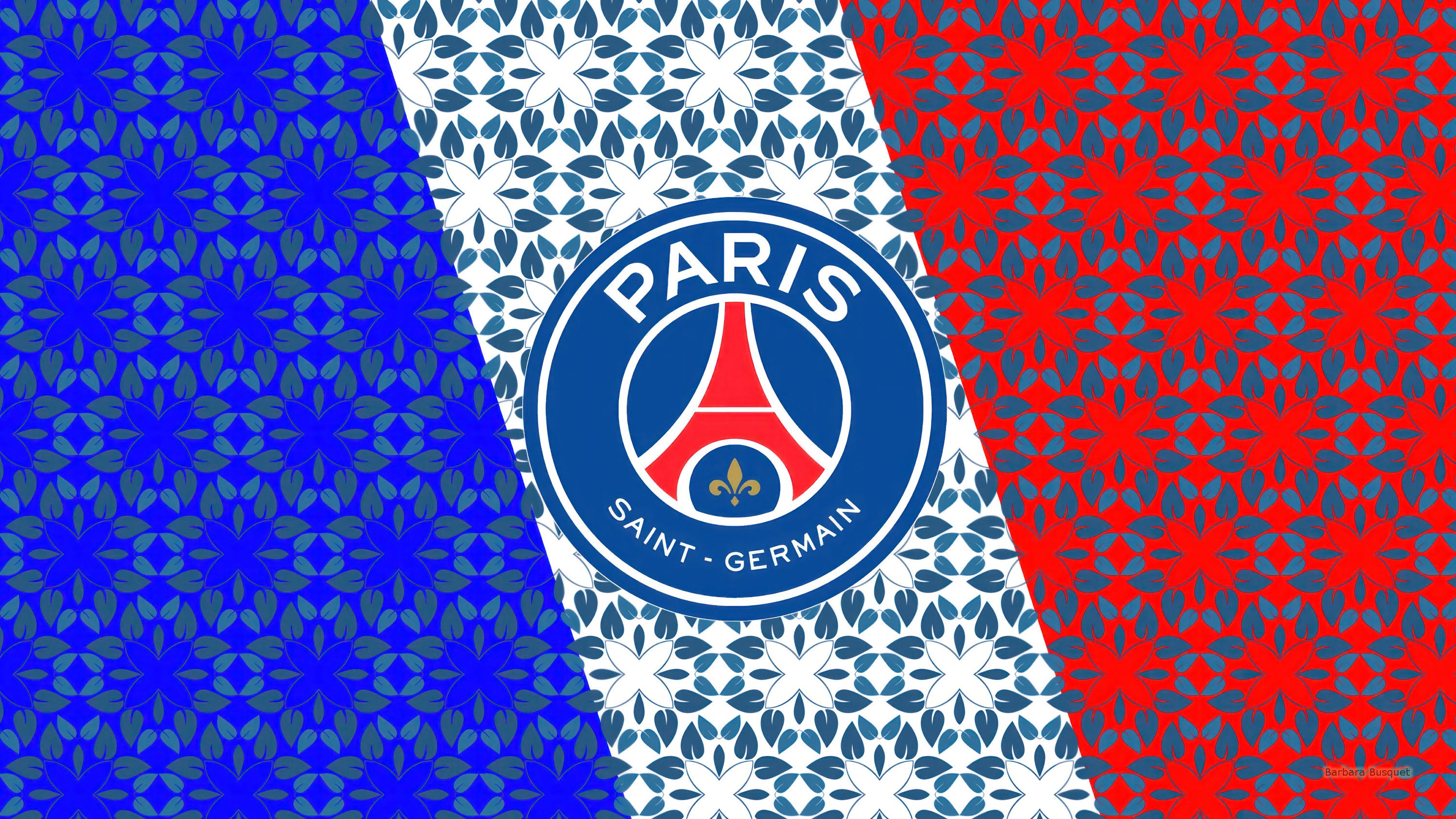 Paris Saint-Germain 013 - cuadro decorativo en canvas