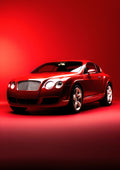 Coches 227 - cuadro decorativo en canvas