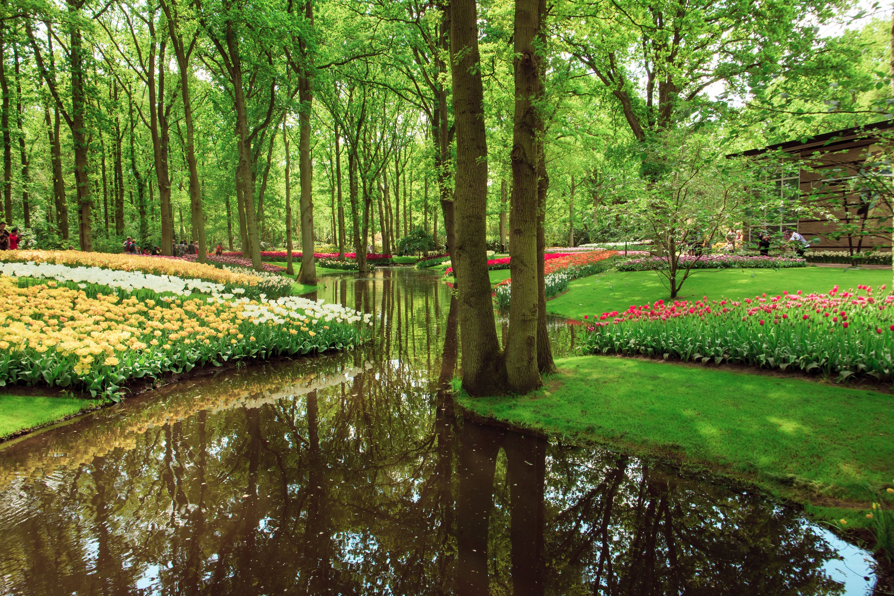 Naturaleza 076
