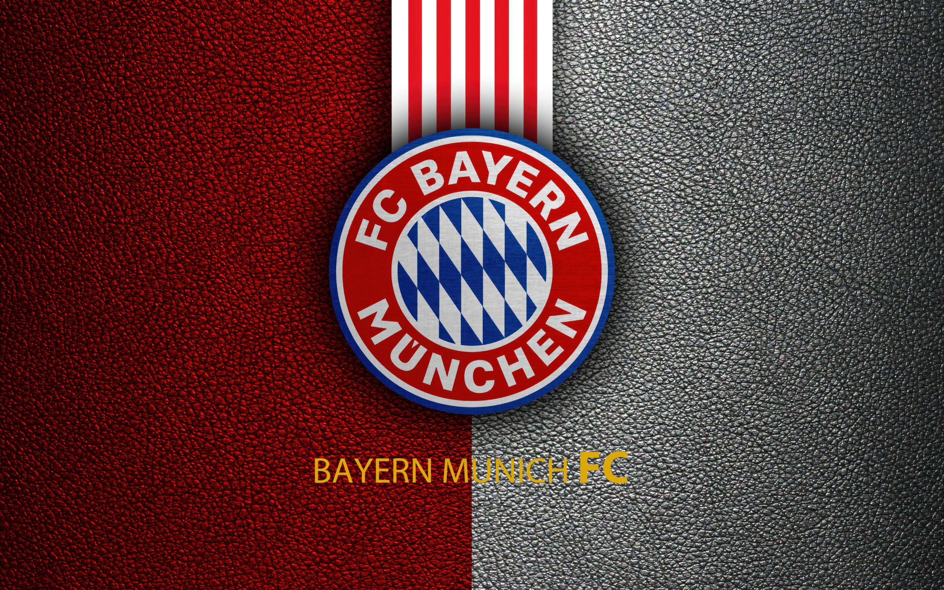 Bayern Múnich 011 - cuadro decorativo en canvas