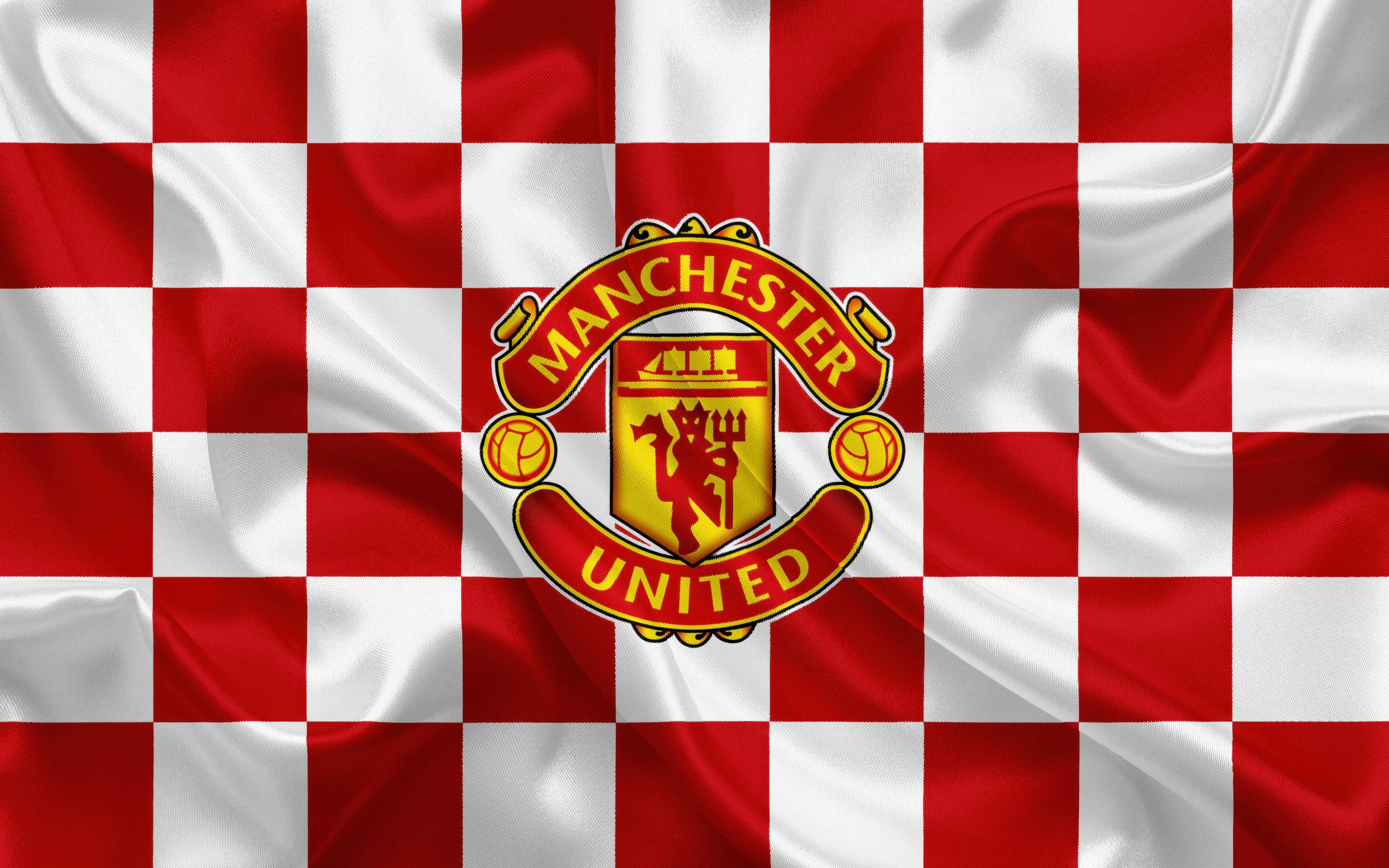 Manchester United 007 - cuadro decorativo en canvas