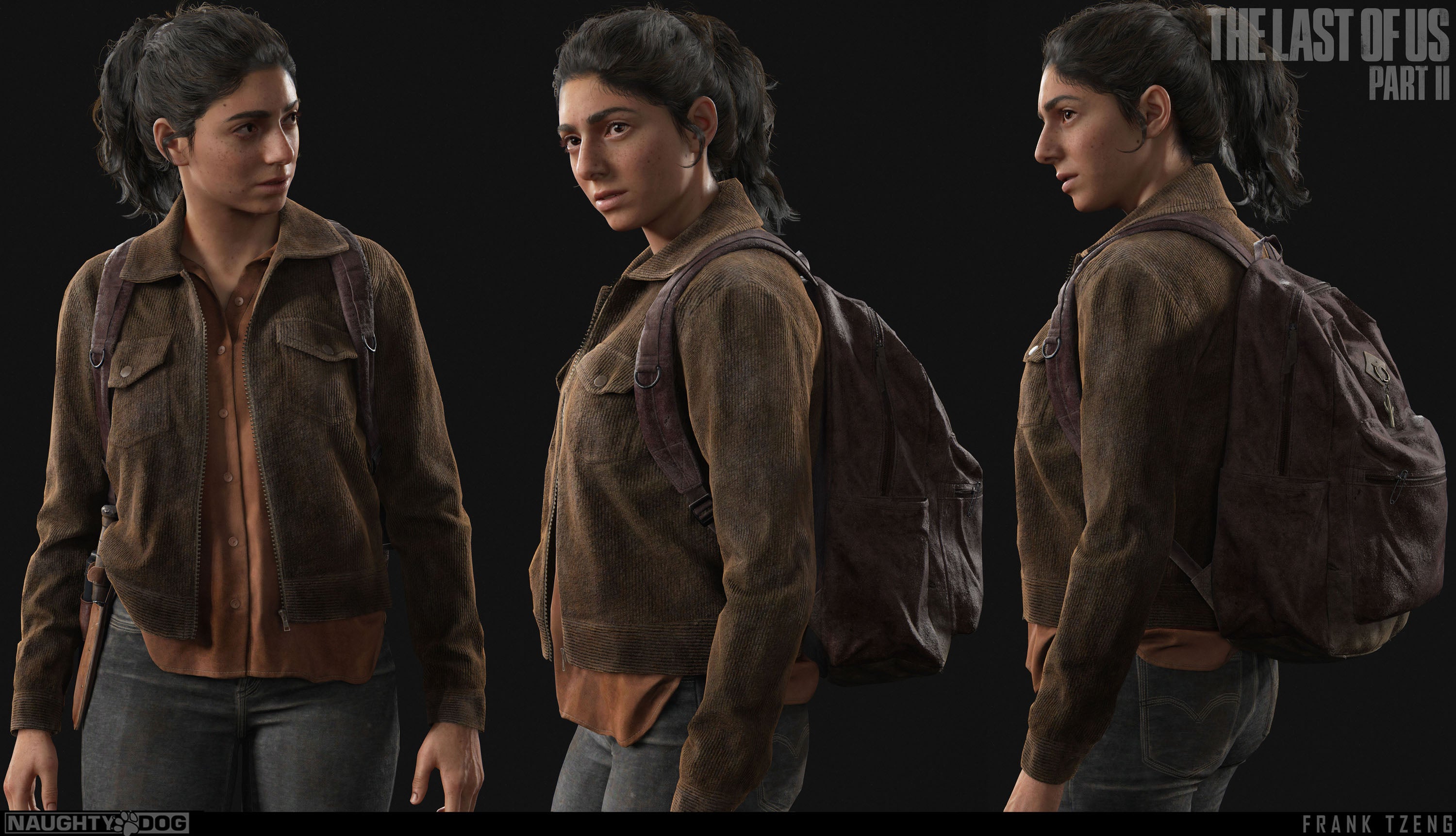 The Last Of Us 022 - cuadro gamer decorativo en canvas