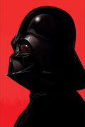 Star Wars 016 - cuadro decorativo en canvas