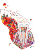 Odontología 014 - Cuadro canvas Canvaradas